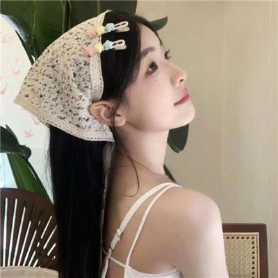 鸭子的天空